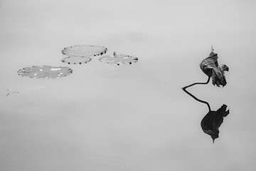 IMG_9511x.jpg