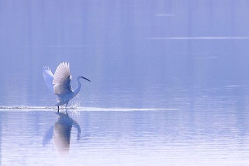 IMG_2878x.jpg
