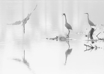 IMG_3031-1x.jpg