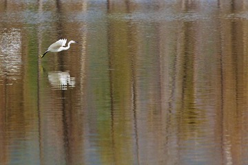 IMG_3344x.jpg