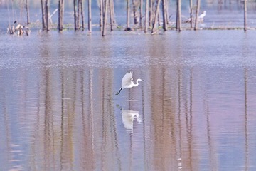 IMG_3345x.jpg