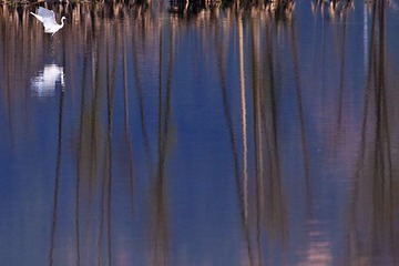 IMG_3405x.jpg