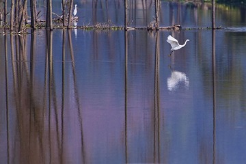 IMG_3409x.jpg