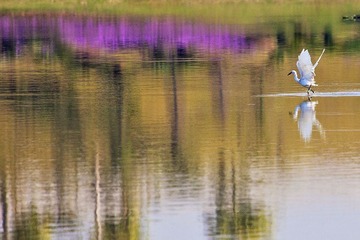 IMG_3425x.jpg