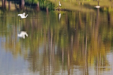 IMG_3450x.jpg