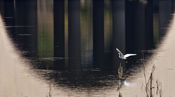 IMG_3457x.jpg