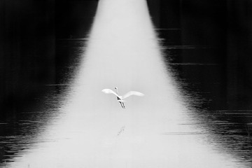 IMG_3458x.jpg