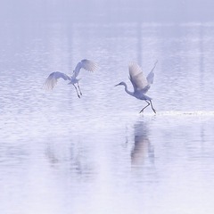 IMG_2945x.jpg