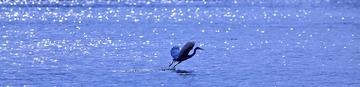 IMG_3689x.jpg