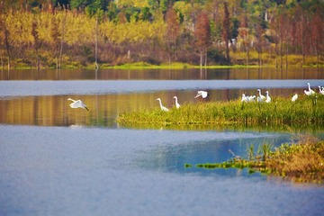 IMG_5170x.jpg