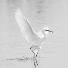 IMG_5319x.jpg