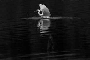 IMG_5473x.jpg