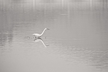 IMG_5438x.jpg