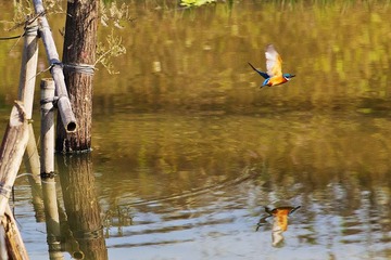 IMG_3463x.jpg