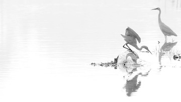 IMG_2924.jpg