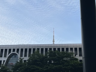3AF2924E-33B8-4B4D-BE31-1DC08187AFBF/L0/001