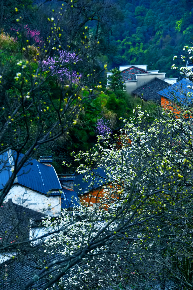 婺源查平坦村