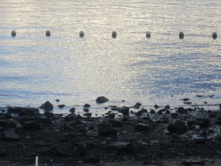 5F88DC5A-EC5F-477A-B67F-F33AF7B28C55/L0/001
