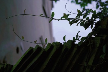 945D9BD0-1169-445A-A1AB-894E9FDCC6E6/L0/001