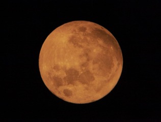 A08A213A-EA30-4F21-83B8-86ED147CD3BB/L0/001