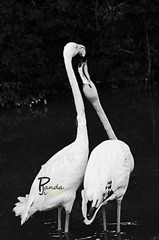DSC_0167.jpg