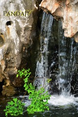 DSC_0260.jpg
