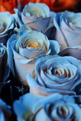 72F3CC77-C378-4DF2-92E3-9D49ACD61FDD/L0/001