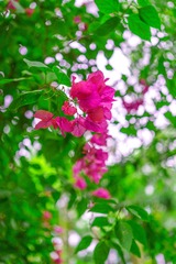 A39CE59B-7B8C-4C00-81BD-89B52E010D92/L0/001