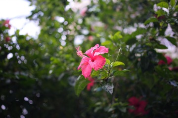 E5E86B4D-C255-4456-84AF-40AF13C4280F/L0/001