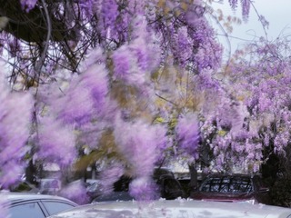 0D95724E-E120-45D4-A668-F0AB8A330B71/L0/001