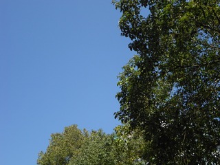 88052237-294D-46DA-B1B1-70D1FE9FC900/L0/001