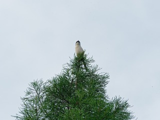 P5139631