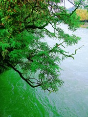 E026EF9B-07F6-4B05-80D2-D26BBD868A62/L0/001
