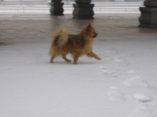 IMG_0029.-1修jpg.jpg