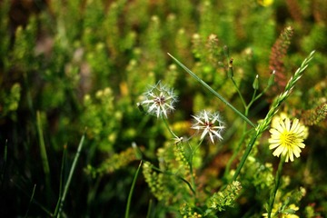 2012_0519宾得照片35mmf240007.jpg
