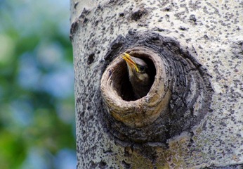 IMGP1689-9.jpg