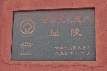1000024699