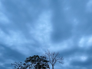 7067E7F9-2618-4152-998A-30A10B94AA10/L0/001
