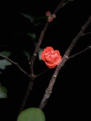 5764D900-40BC-49E8-AA02-29B518001517/L0/001