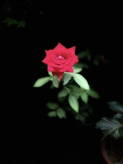 9DFFFFCC-B53A-4078-AA66-5921CEE9637E/L0/001