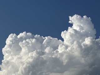 E46538E9-6349-4005-9C1E-D886A8FFAB92/L0/001