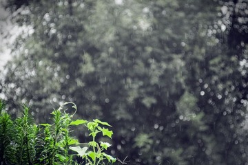 IMG_1072副本.jpg