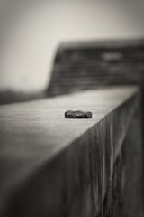 IMG_1107副本.jpg