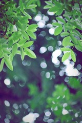 IMG_1122副本.jpg