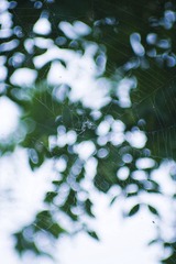 IMG_1123副本.jpg