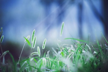 IMG_1136副本.jpg