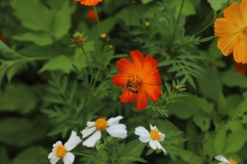 8D6B19BA-2EA6-4C4D-B956-D1FB916FC558/L0/001