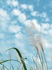 E15B6C93-BAA5-4972-943B-B2AD107E0E67/L0/001