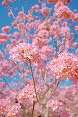 2B4B922B-8CE5-458F-A024-1BF988E9B488/L0/001