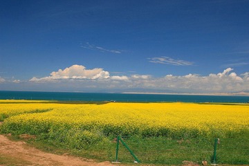 IMG_3484.JPG